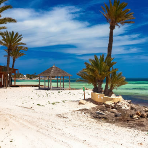 Last Morning Delight and Journey to Djerba