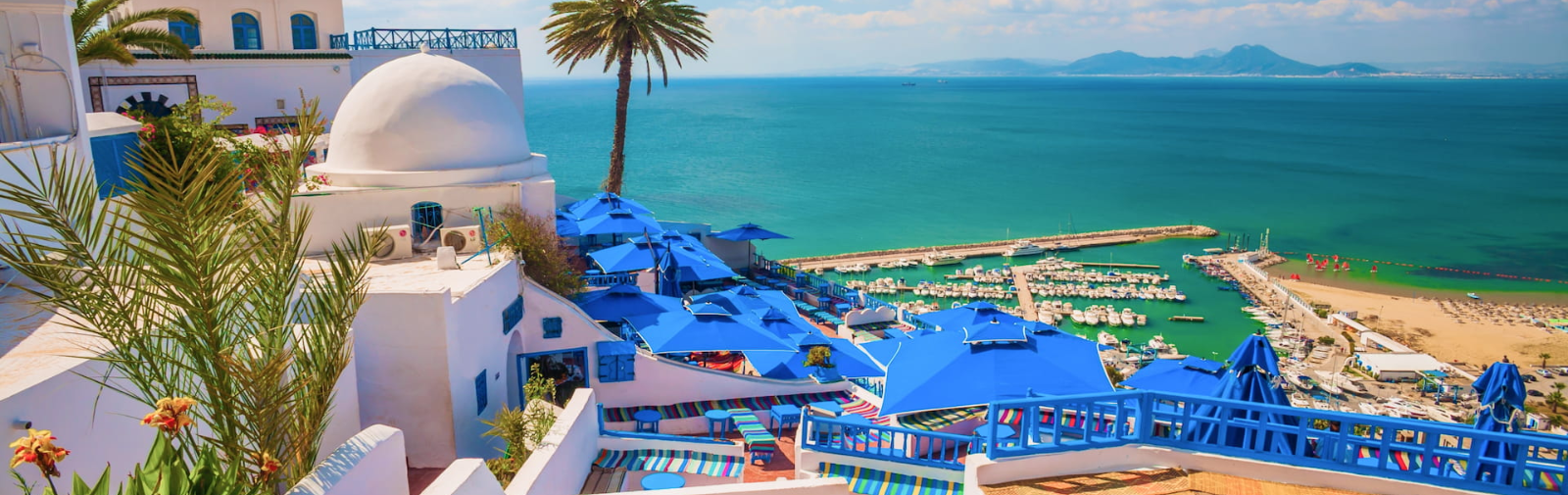 Sidi Bou Saïd & Carthage: Private Discovery of Tunisia’s Treasures