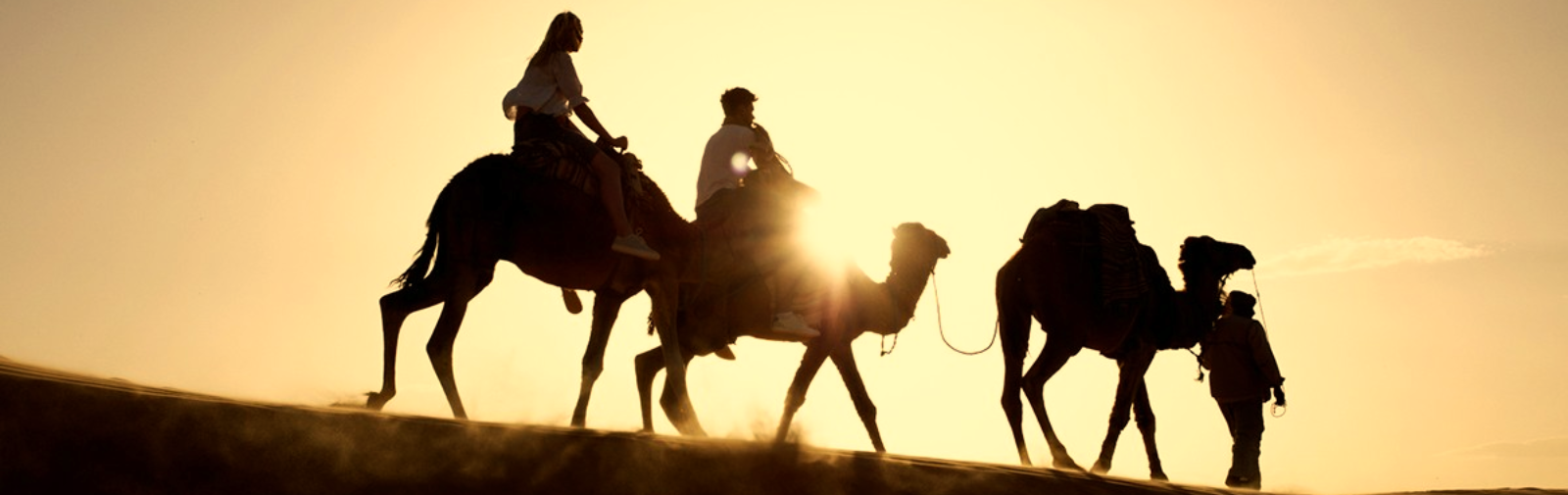 Saharan Adventure: Between Oasis, Desert and Berber Heritage